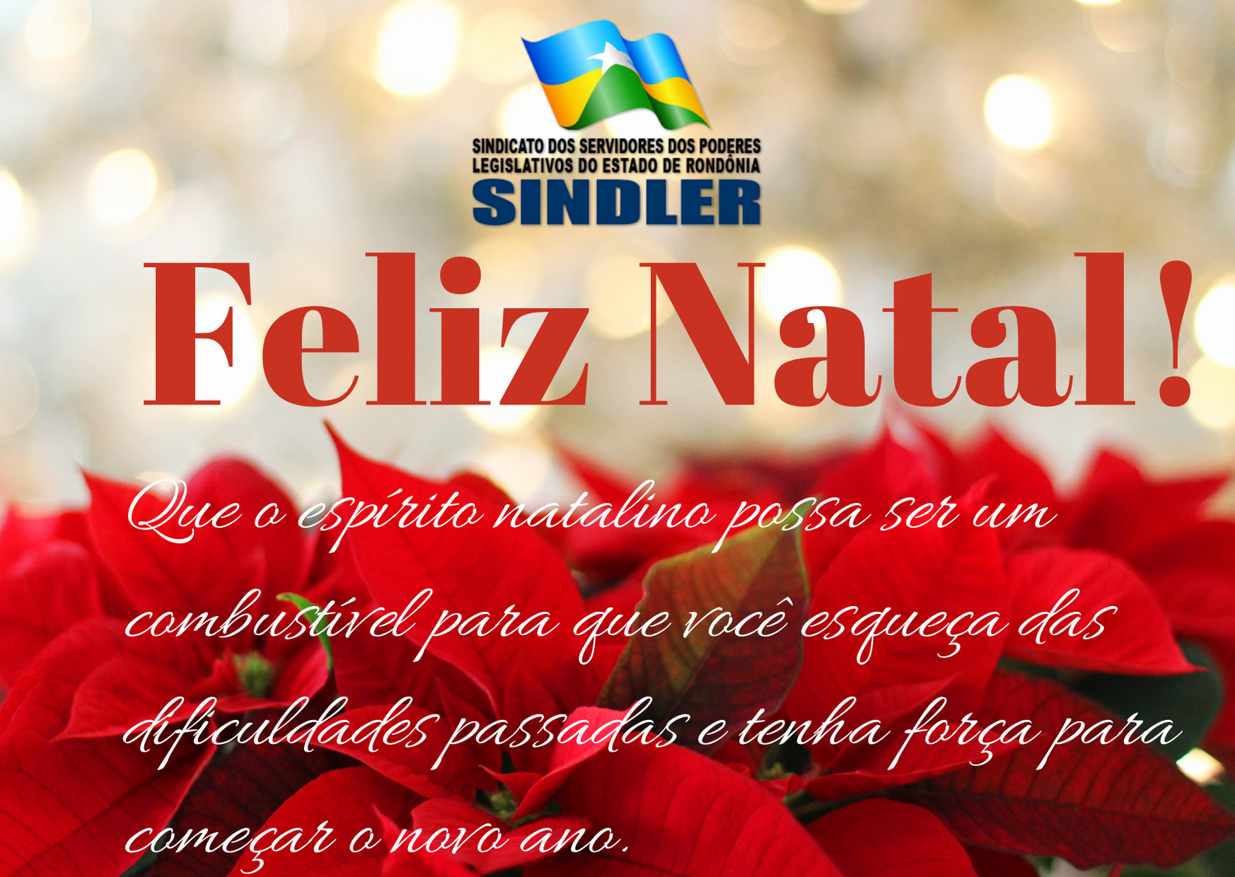 Feliz Natal 2020 - SINDLER - Sindicato dos Servidores dos Poderes  Legislativos do Estado de Rondônia